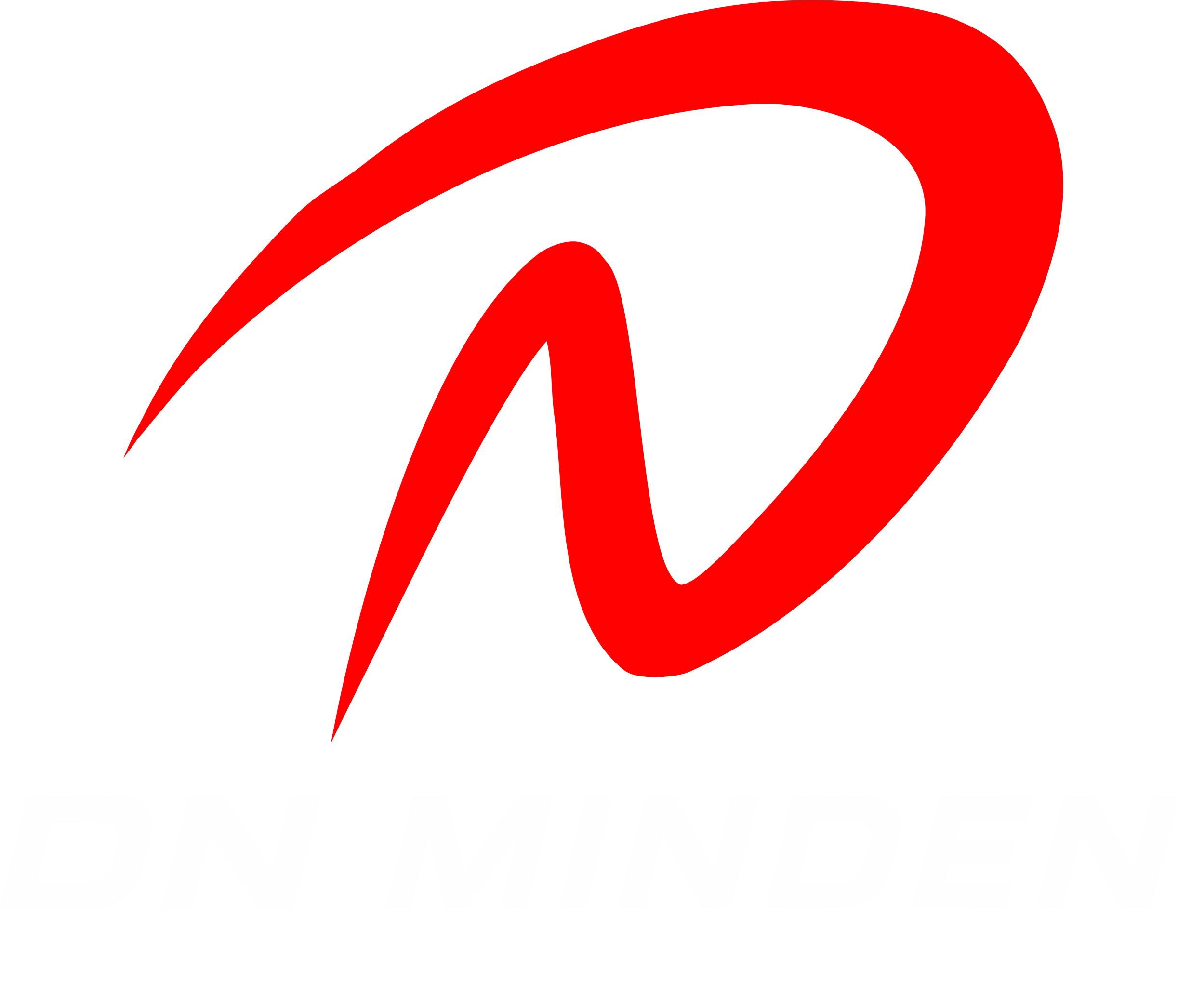 DN MINDEN Logo
