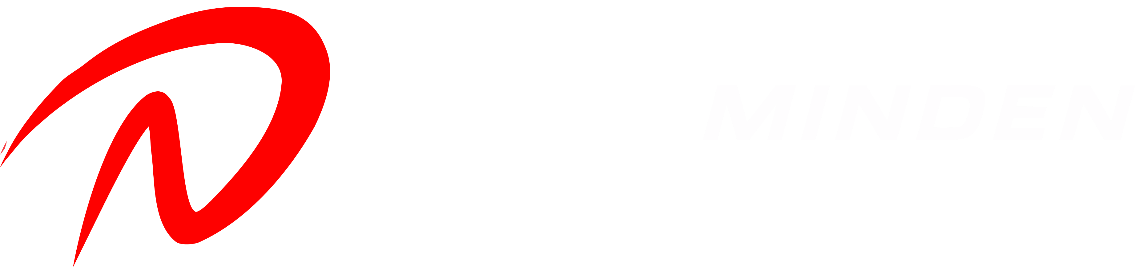 DN MINDEN Logo